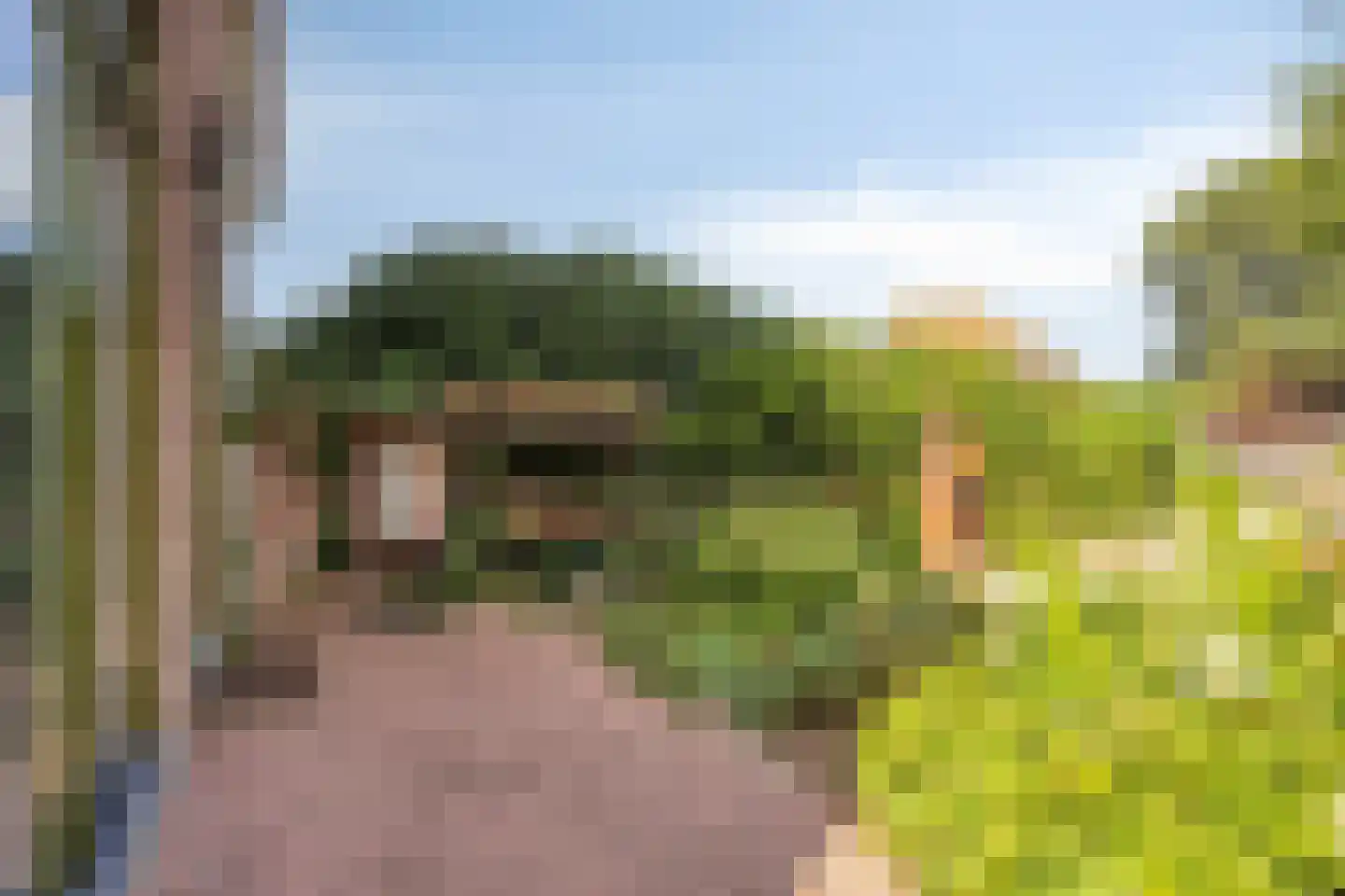 Weg van Twee Nijenhuizen 6 Vollenhove thumbnail 54