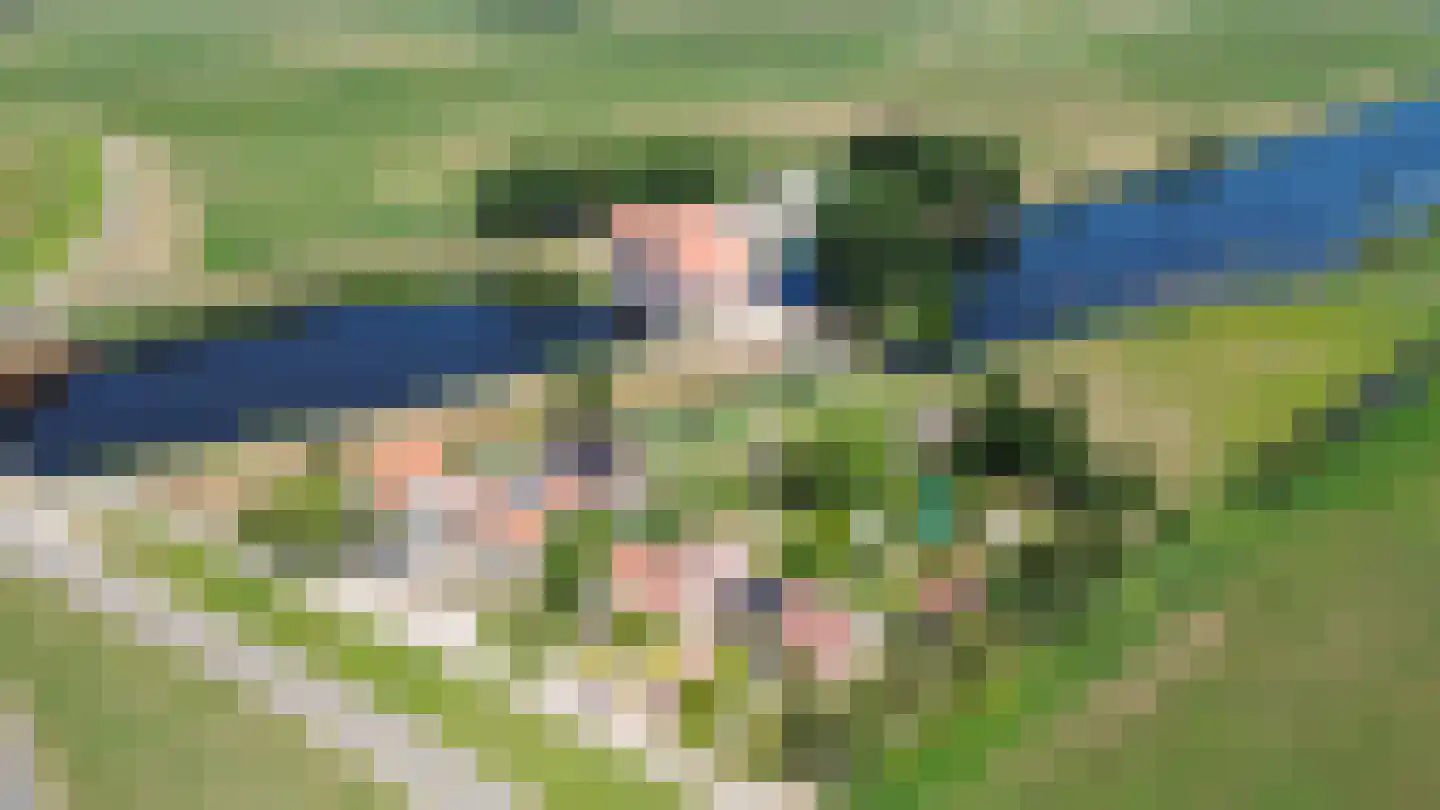 Weg van Twee Nijenhuizen 6 Vollenhove thumbnail 58