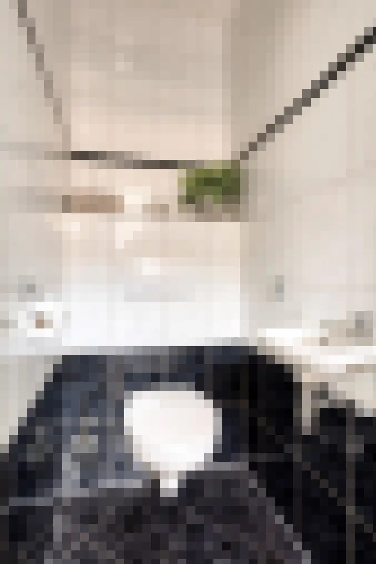 Weg van Twee Nijenhuizen 6 Vollenhove thumbnail 6