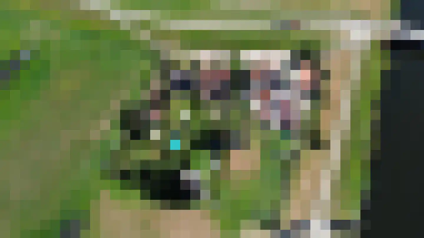 Weg van Twee Nijenhuizen 6 Vollenhove thumbnail 65