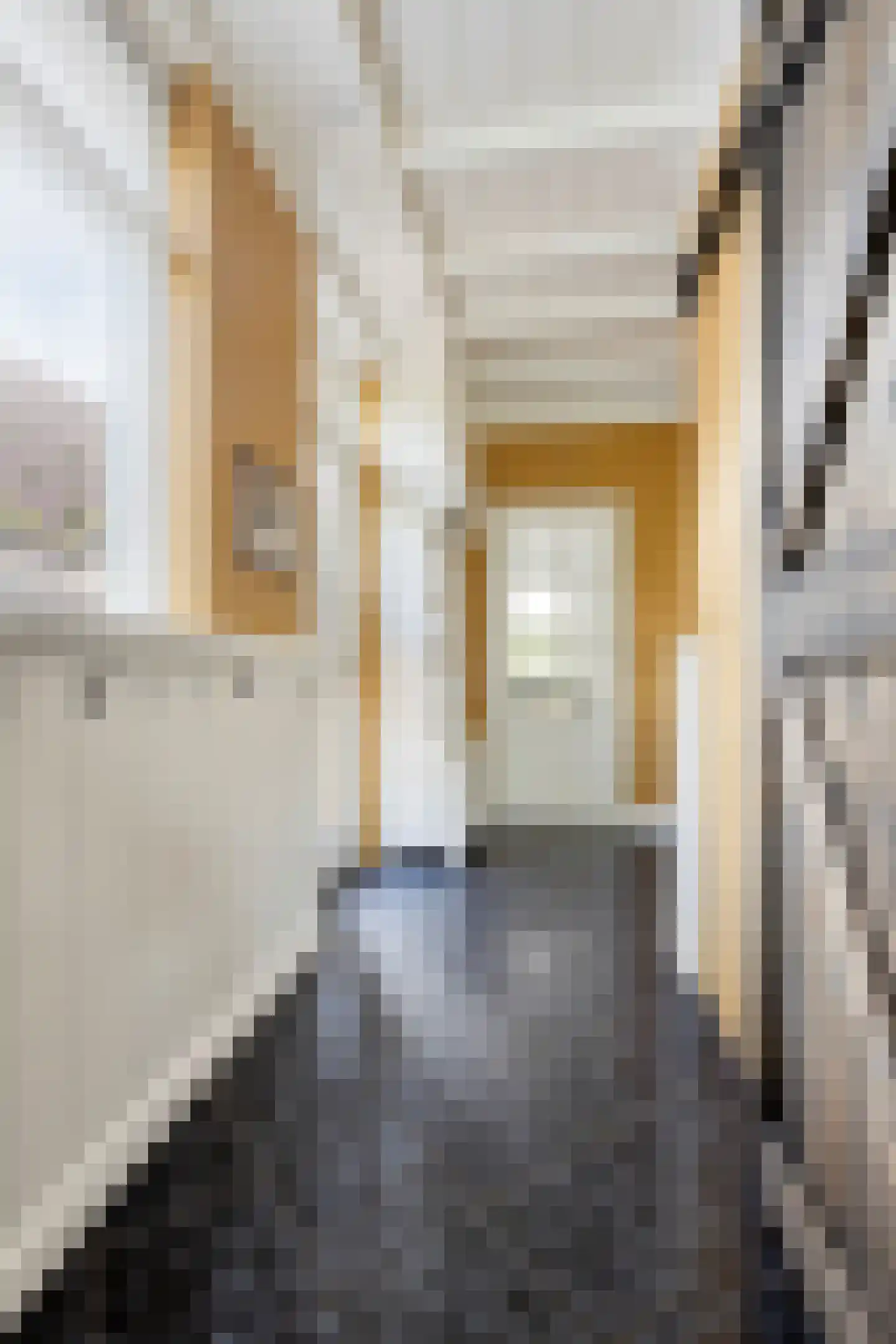 Weg van Twee Nijenhuizen 6 Vollenhove thumbnail 7