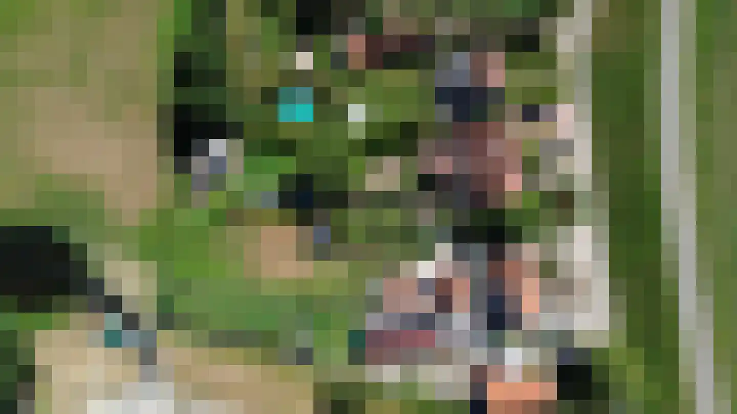 Weg van Twee Nijenhuizen 6 Vollenhove thumbnail 70