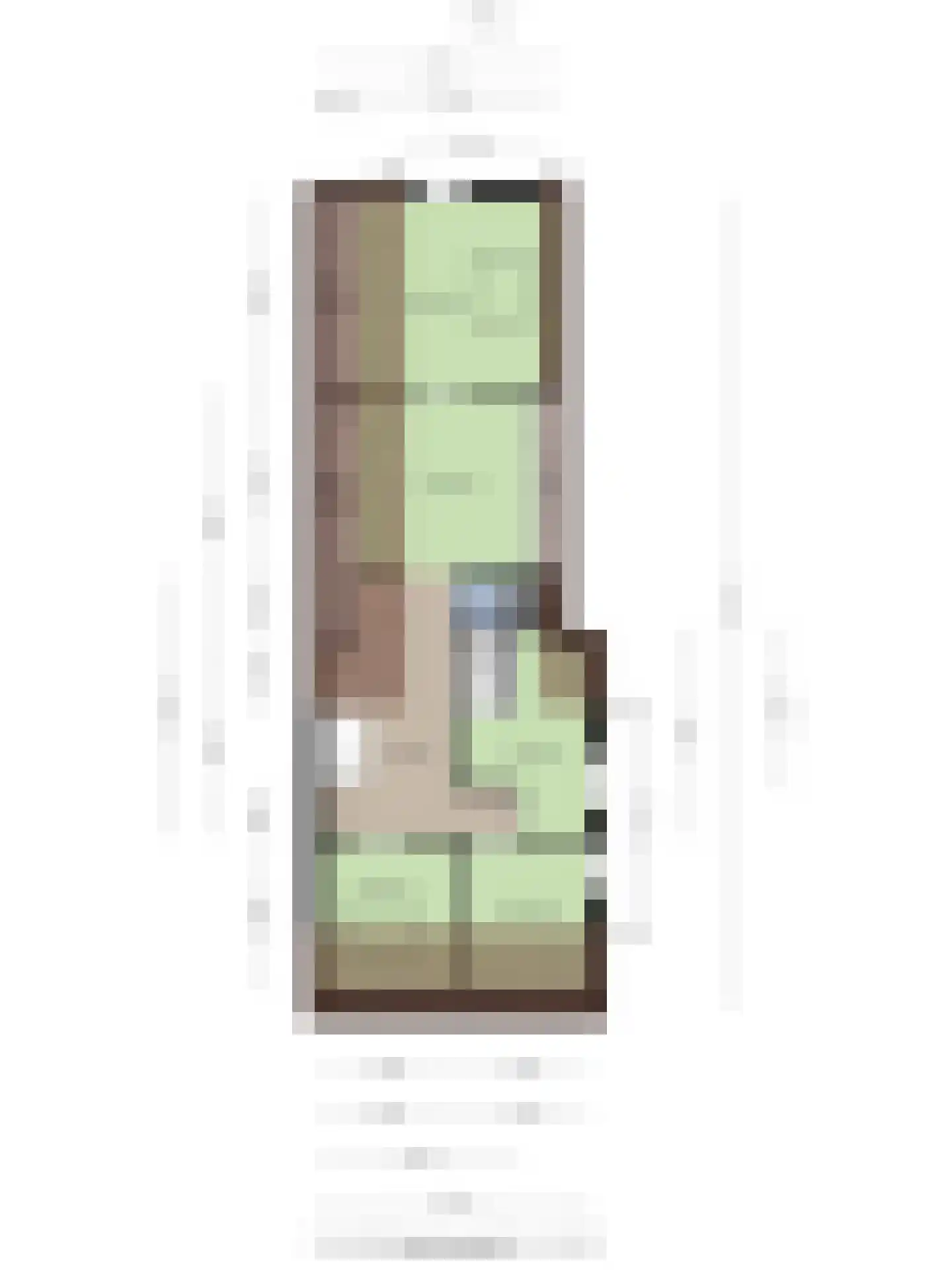 Weg van Twee Nijenhuizen 6 Vollenhove thumbnail 72
