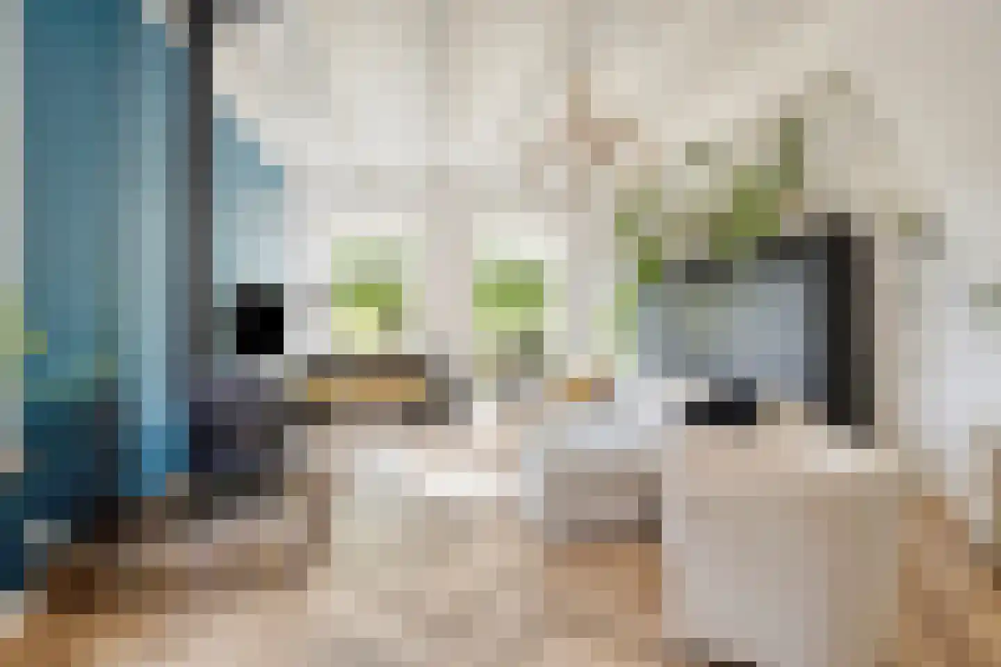 Weg van Twee Nijenhuizen 6 Vollenhove thumbnail 8