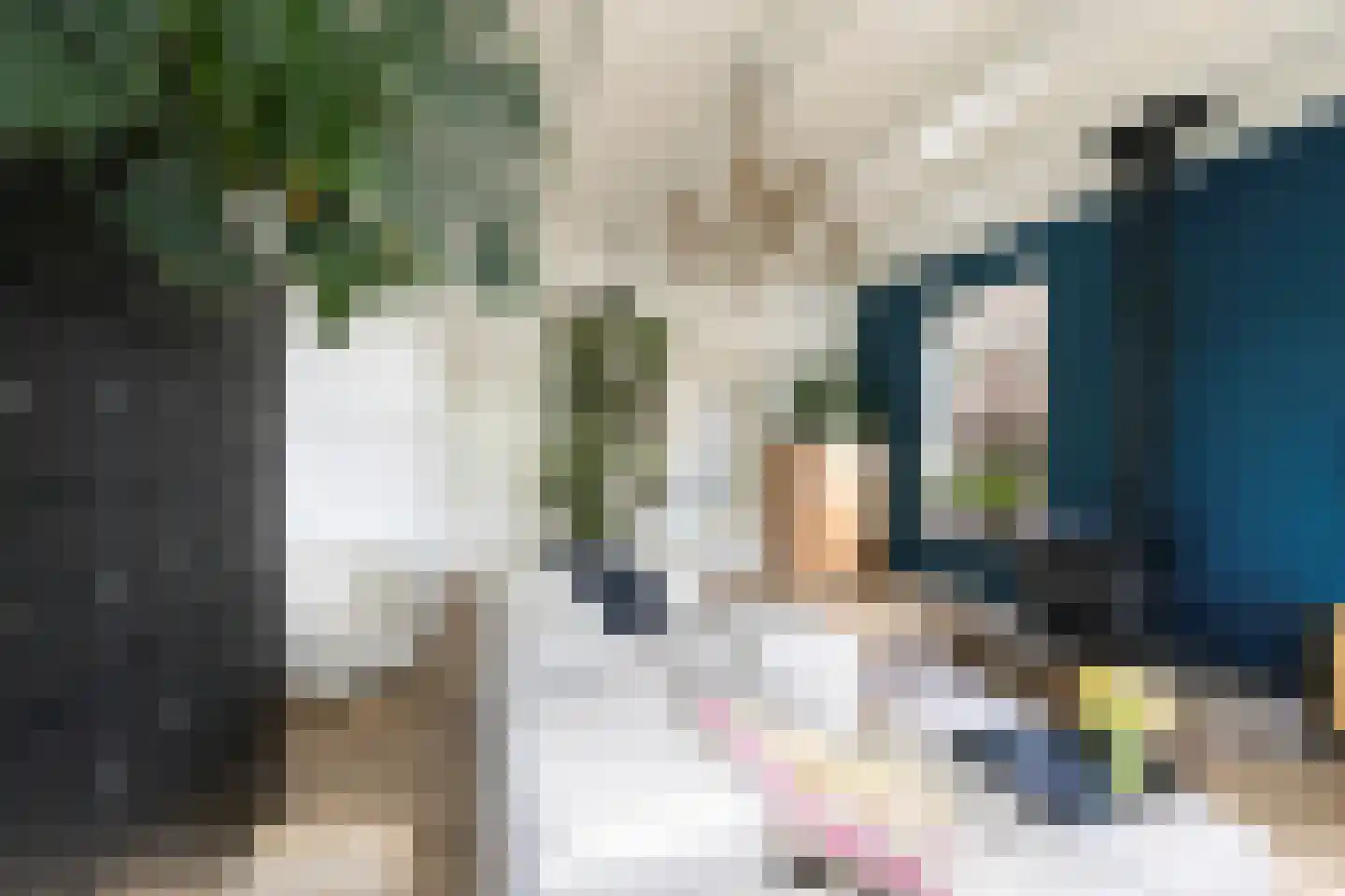 Weg van Twee Nijenhuizen 6 Vollenhove thumbnail 9