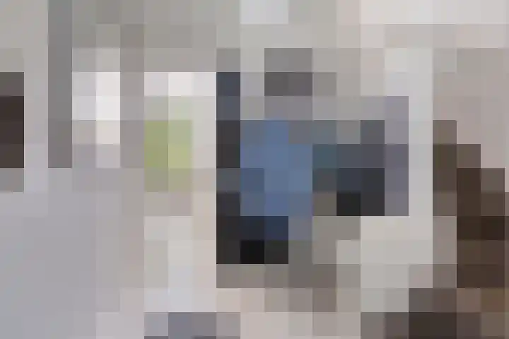 Weg voor de Jagerskampen 14 Haren Gn thumbnail 15