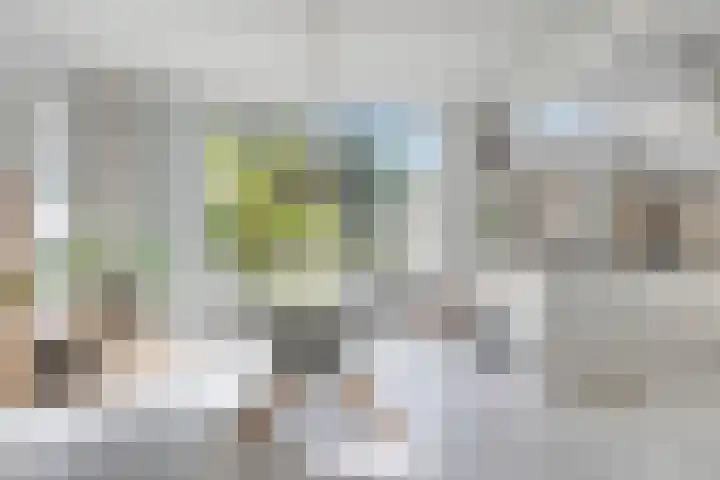 Weg voor de Jagerskampen 14 Haren Gn thumbnail 21