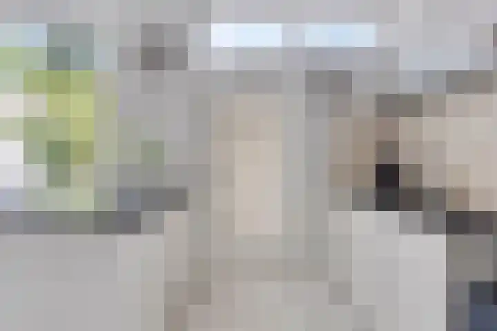 Weg voor de Jagerskampen 14 Haren Gn thumbnail 26