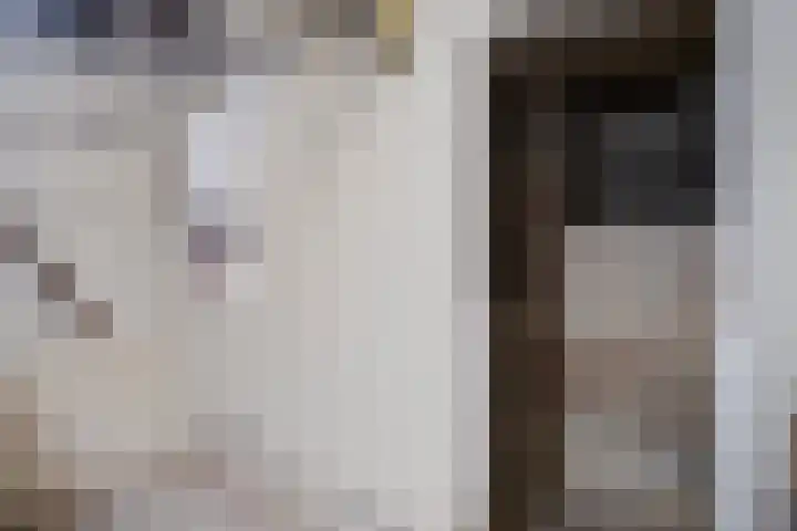 Weg voor de Jagerskampen 14 Haren Gn thumbnail 31