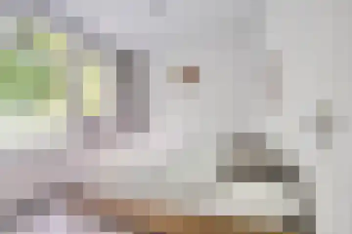 Weg voor de Jagerskampen 14 Haren Gn thumbnail 34