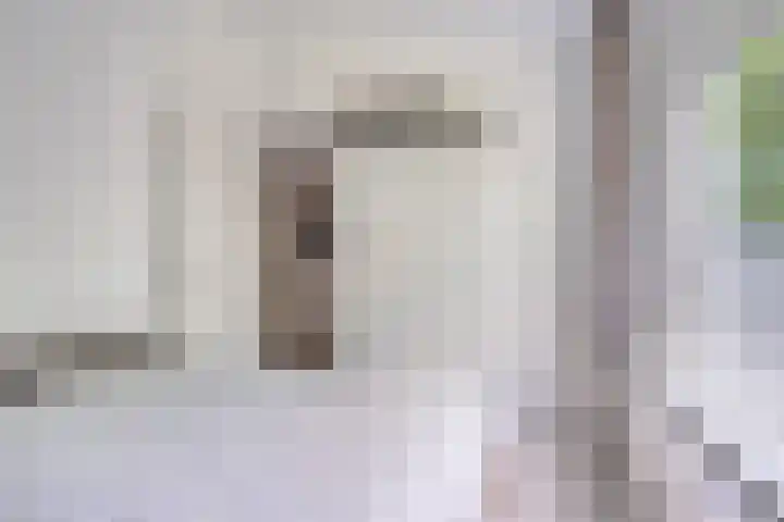 Weg voor de Jagerskampen 14 Haren Gn thumbnail 35