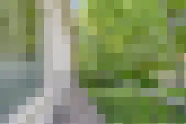 Weg voor de Jagerskampen 14 Haren Gn thumbnail 36