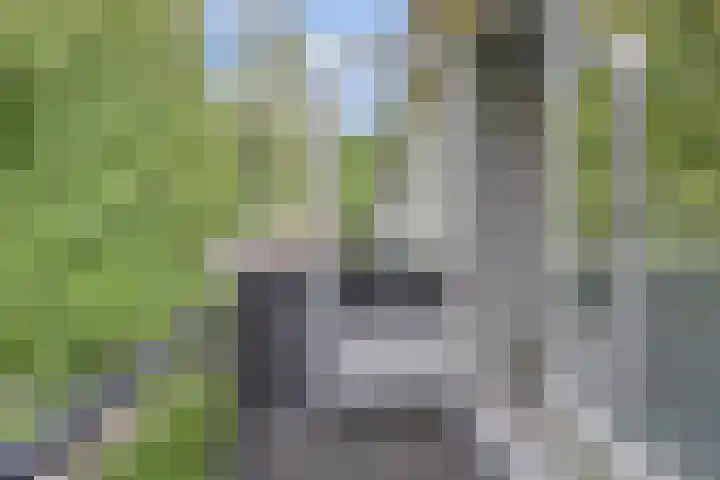 Weg voor de Jagerskampen 14 Haren Gn thumbnail 37