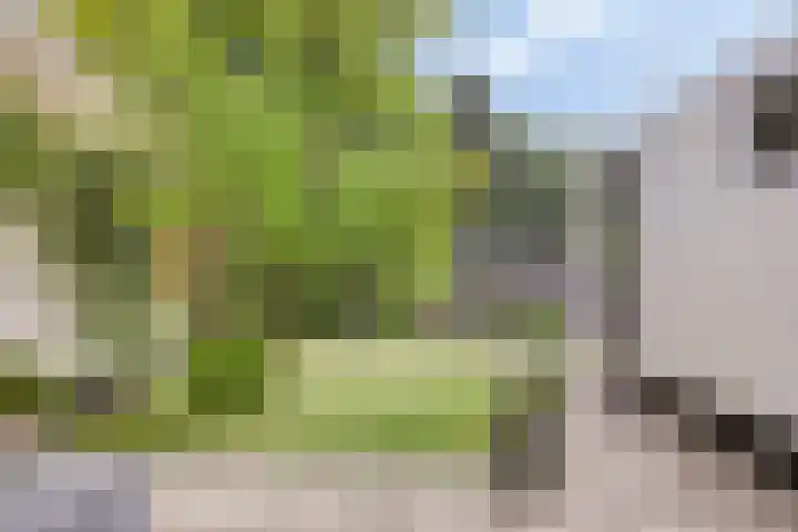 Weg voor de Jagerskampen 14 Haren Gn thumbnail 46