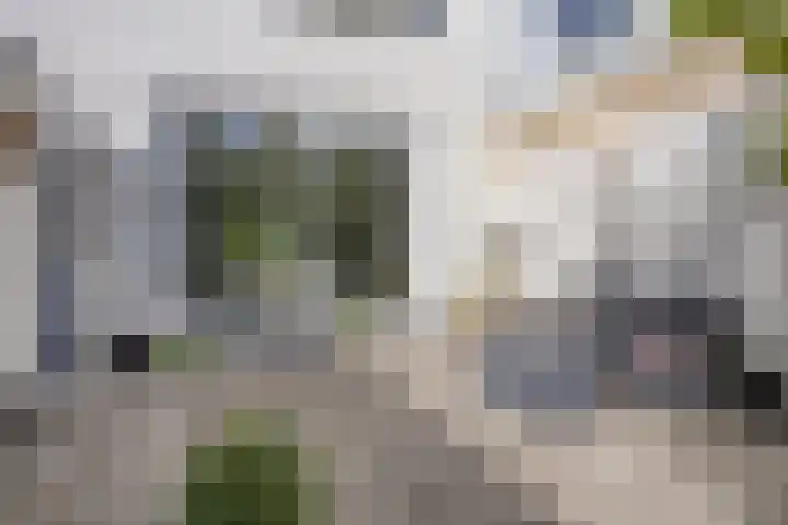 Weg voor de Jagerskampen 14 Haren Gn thumbnail 47