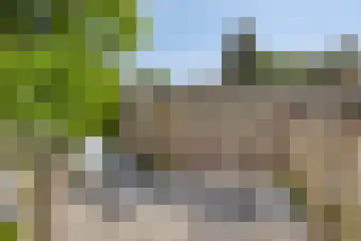 Weg voor de Jagerskampen 14 Haren Gn thumbnail 50