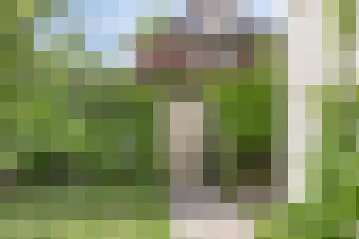 Weg voor de Jagerskampen 14 Haren Gn thumbnail 51