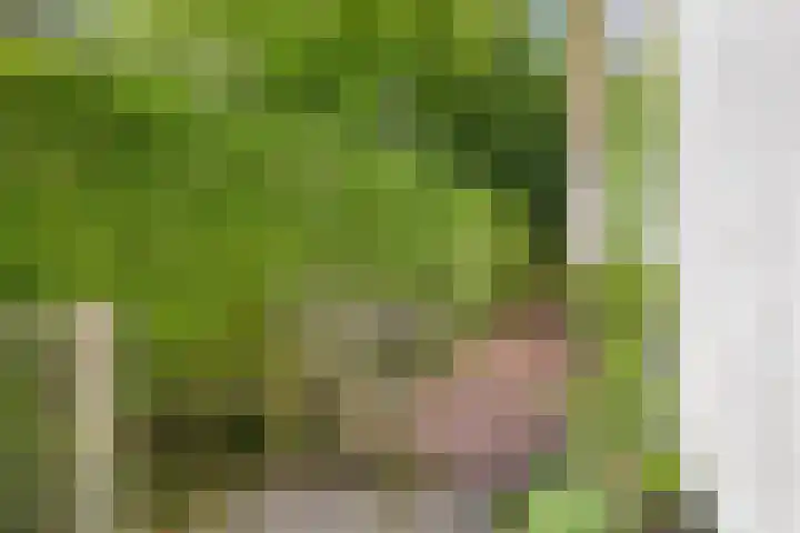 Weg voor de Jagerskampen 14 Haren Gn thumbnail 52