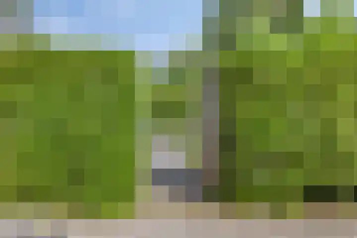 Weg voor de Jagerskampen 14 Haren Gn thumbnail 54