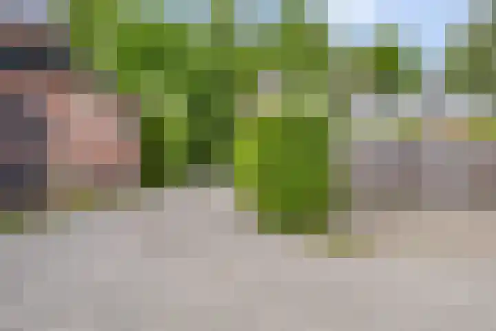 Weg voor de Jagerskampen 14 Haren Gn thumbnail 56