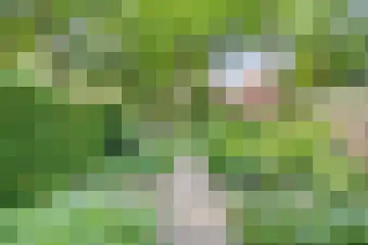Weg voor de Jagerskampen 14 Haren Gn thumbnail 57