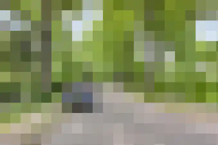 Weg voor de Jagerskampen 14 Haren Gn thumbnail 58