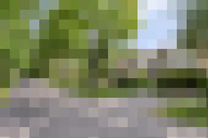 Weg voor de Jagerskampen 14 Haren Gn thumbnail 8