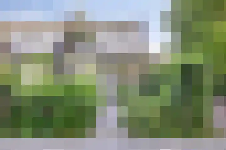 Weg voor de Jagerskampen 14 Haren Gn thumbnail 9