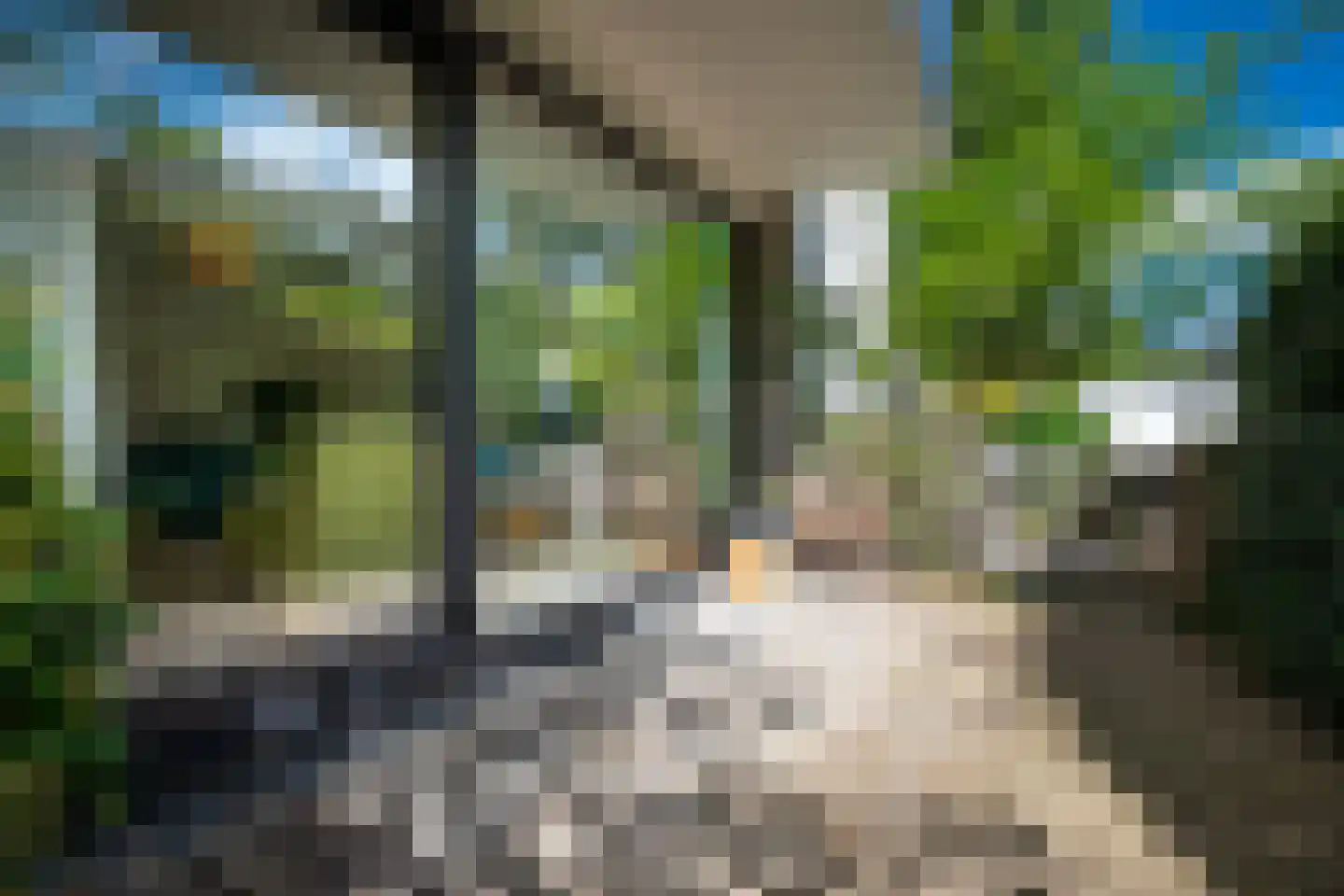 Weg voor de Jagerskampen 34 Haren Gn thumbnail 12
