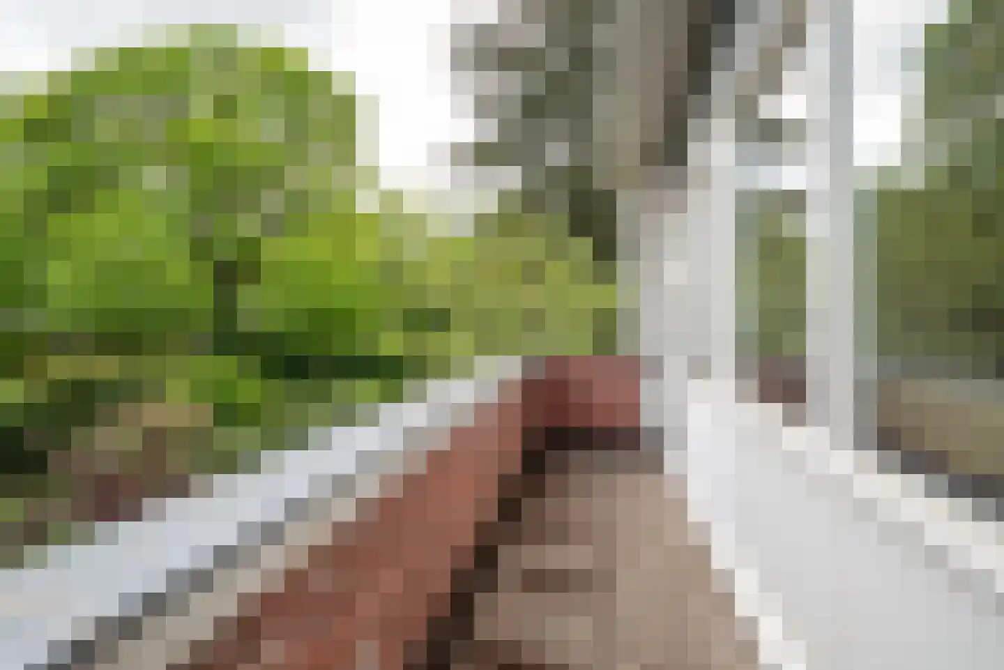 Weg voor de Jagerskampen 34 Haren Gn thumbnail 33