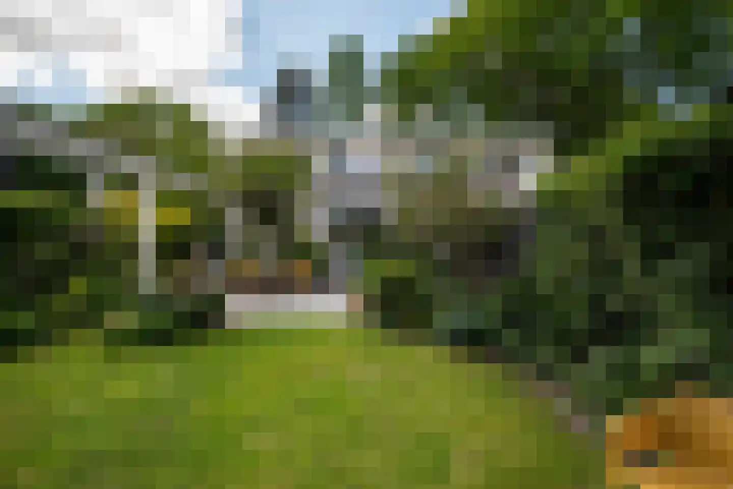 Weg voor de Jagerskampen 34 Haren Gn thumbnail 45