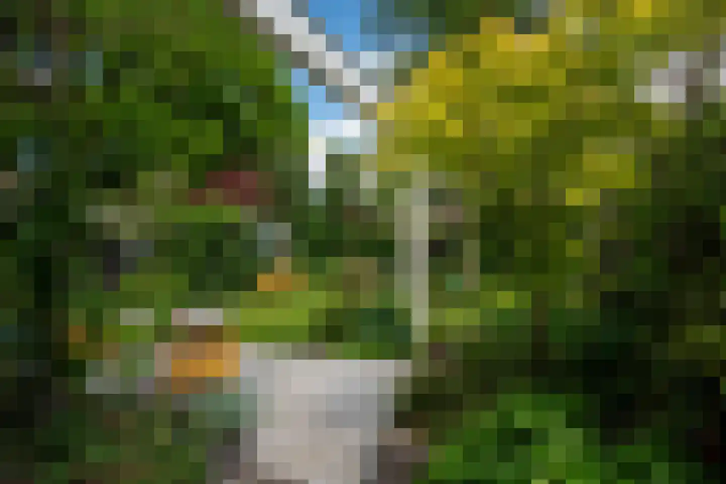Weg voor de Jagerskampen 34 Haren Gn thumbnail 48