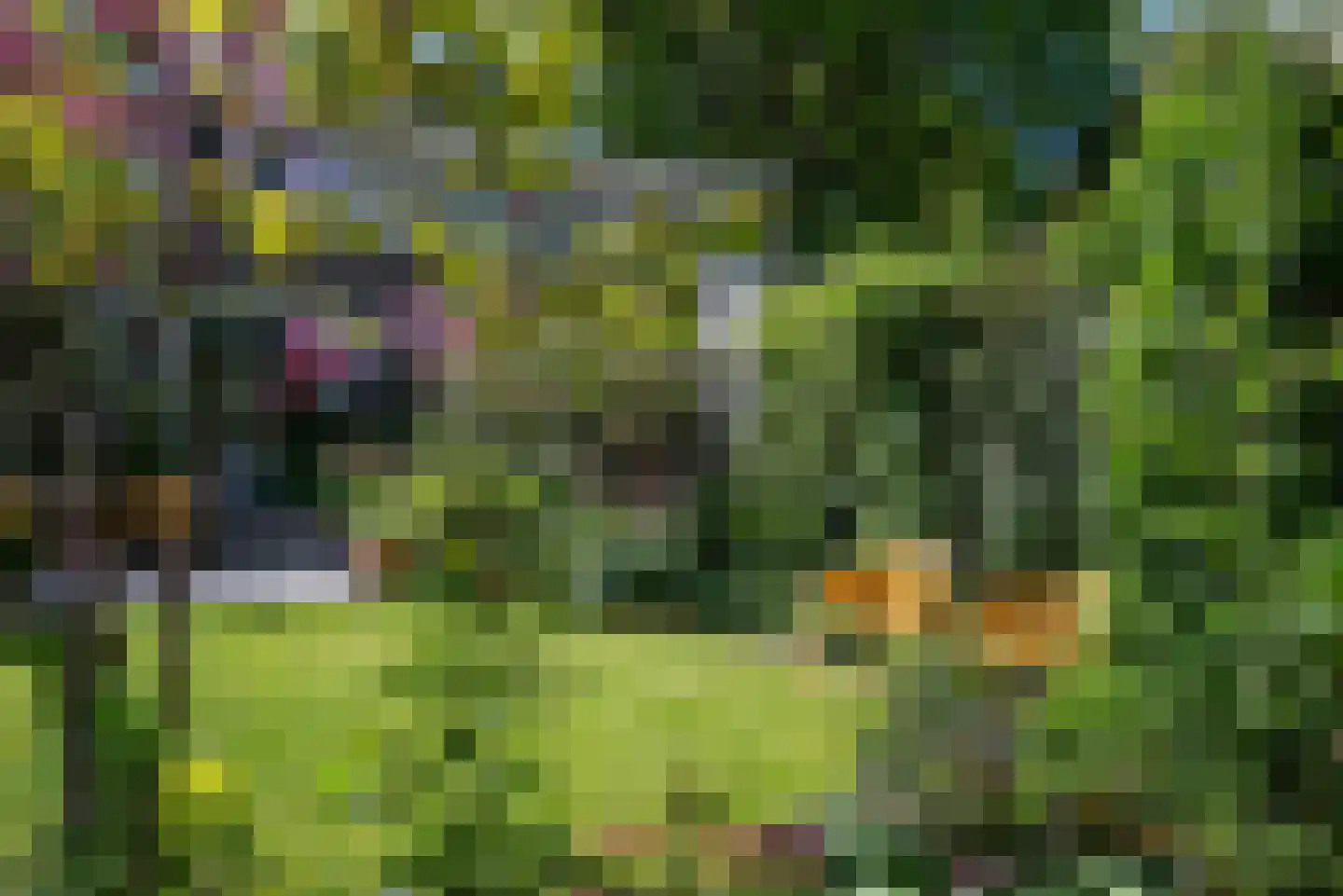 Weg voor de Jagerskampen 34 Haren Gn thumbnail 52