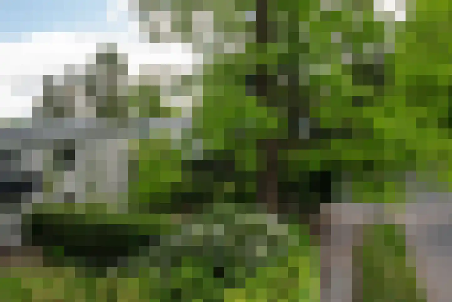 Weg voor de Jagerskampen 34 Haren Gn thumbnail 7