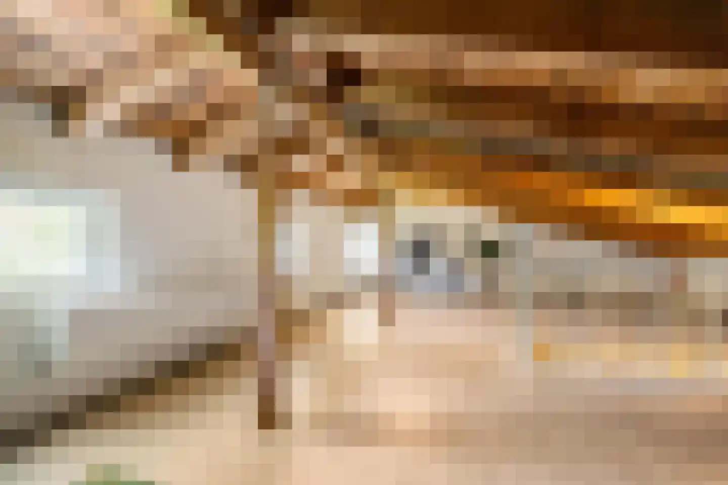 Weg voor de Jagerskampen 35 Haren Gn thumbnail 20