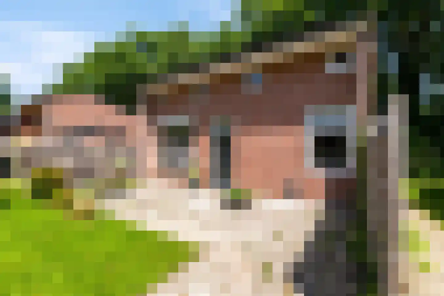 Weg voor de Jagerskampen 35 Haren Gn foto 3