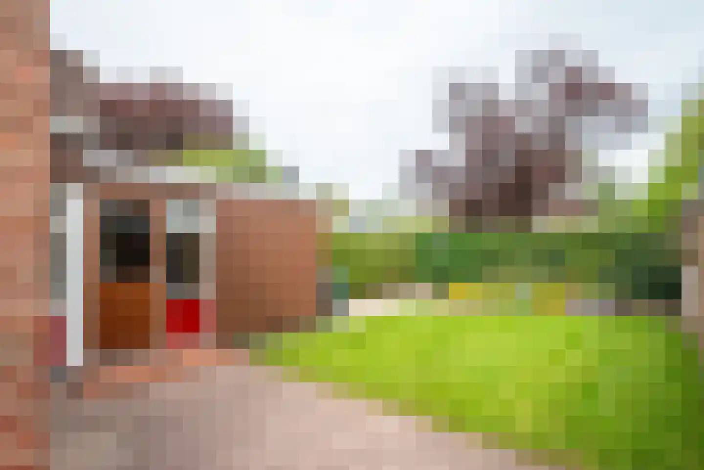 Weg voor de Jagerskampen 68 Haren Gn thumbnail 39