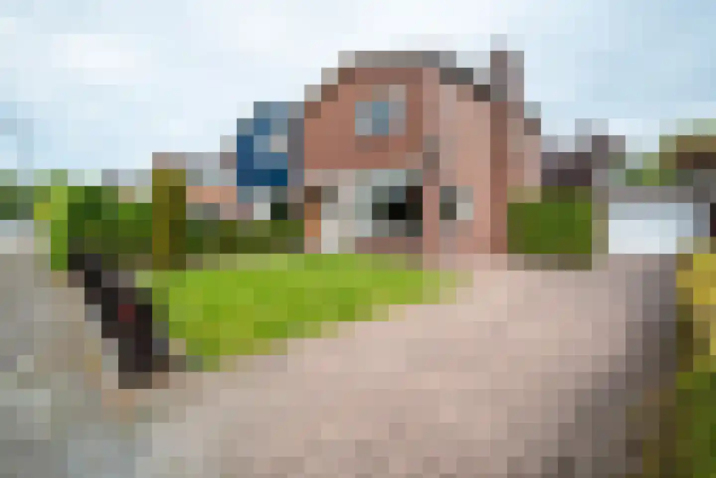 Weg voor de Jagerskampen 68 Haren Gn thumbnail 5