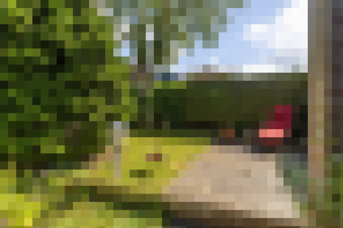 Weg voor de Jagerskampen 71 Haren Gn thumbnail 38