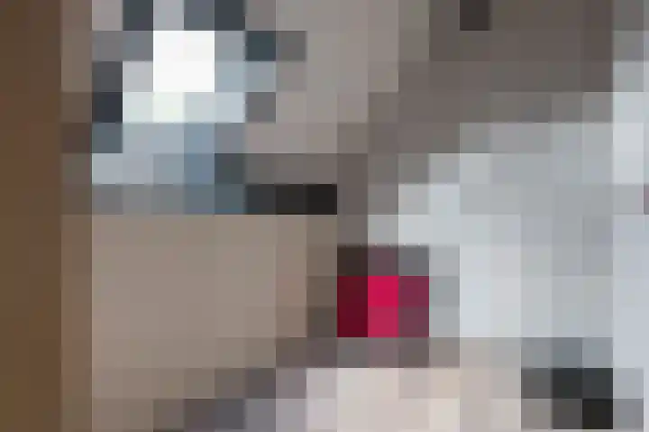 Wega 31 Klazienaveen thumbnail 29