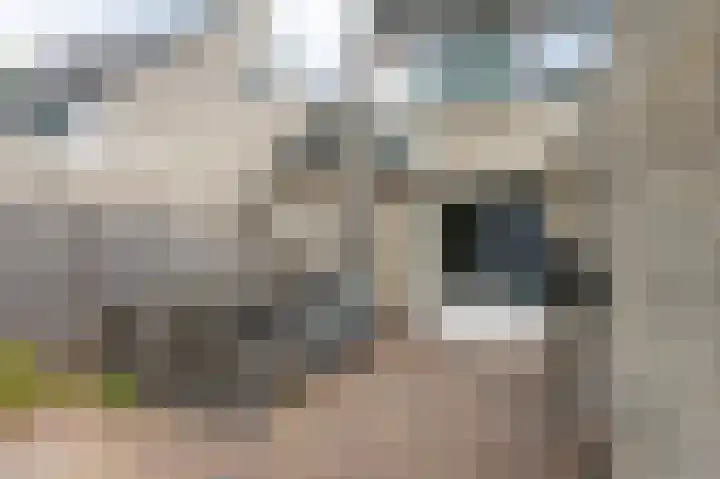 Wega 31 Klazienaveen thumbnail 32