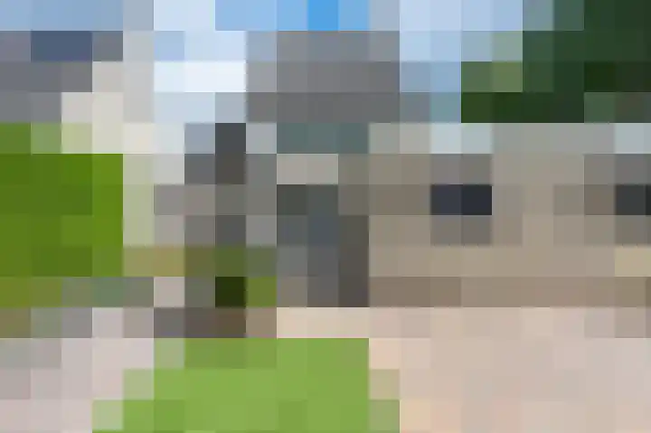 Wega 31 Klazienaveen thumbnail 33