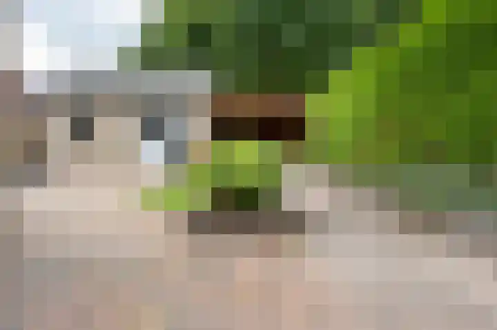 Wega 31 Klazienaveen thumbnail 35