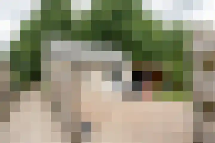 Wega 31 Klazienaveen thumbnail 36