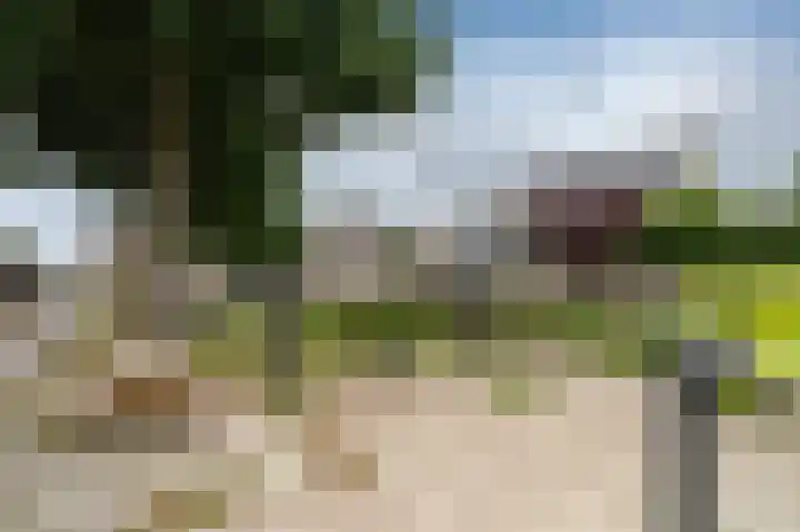 Wega 31 Klazienaveen thumbnail 42