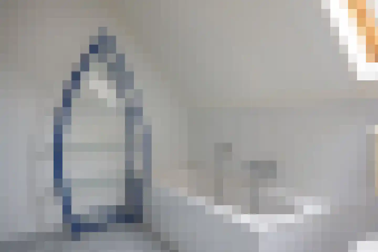 Wega 6 Klazienaveen thumbnail 31