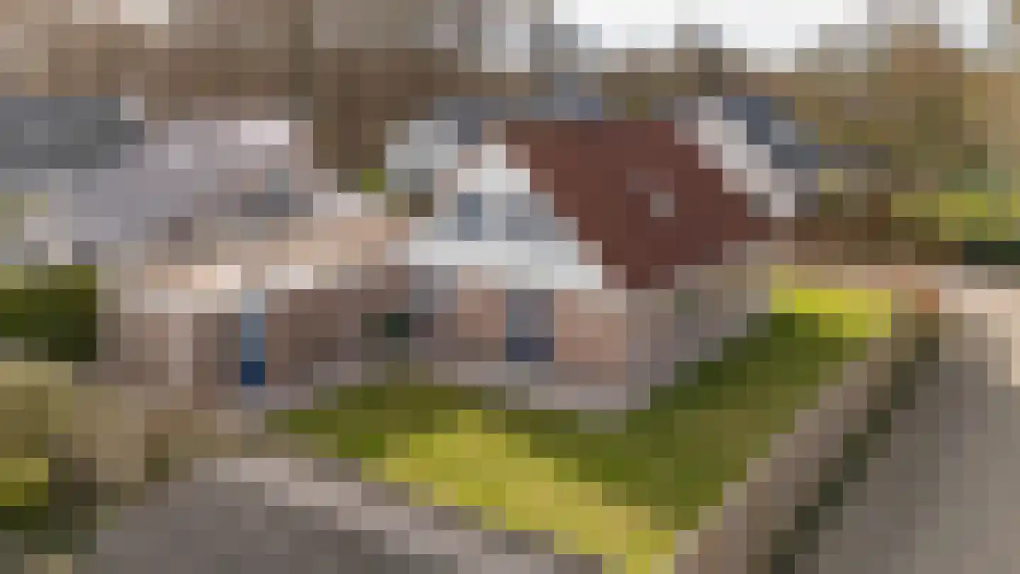 Wega 6 Klazienaveen thumbnail 45