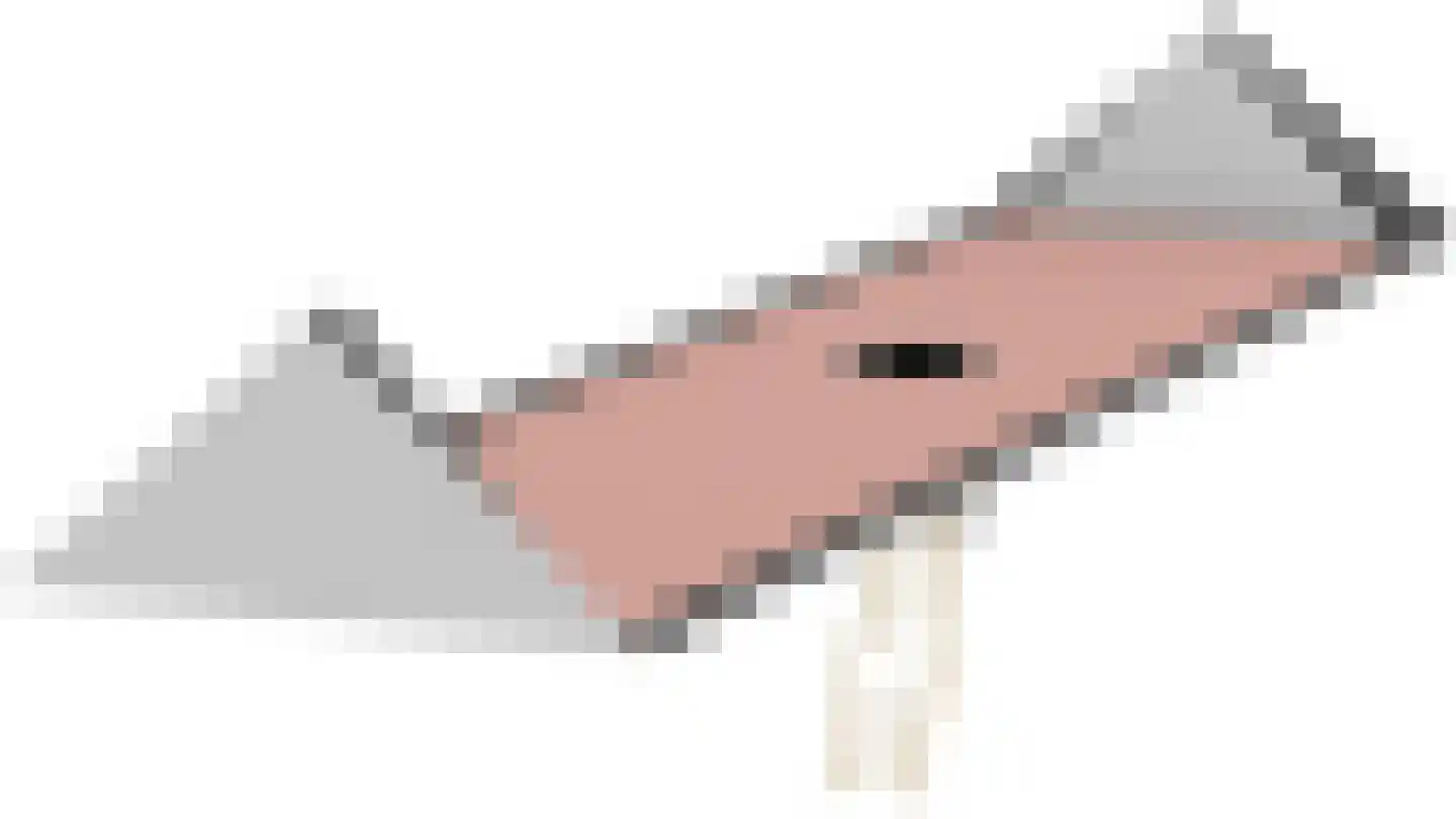 Wega 6 Klazienaveen thumbnail 51