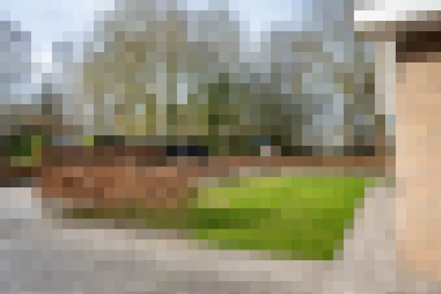 Wega 6 Klazienaveen thumbnail 6