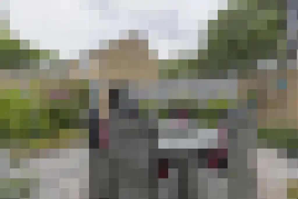 Wega 77 Dordrecht thumbnail 36